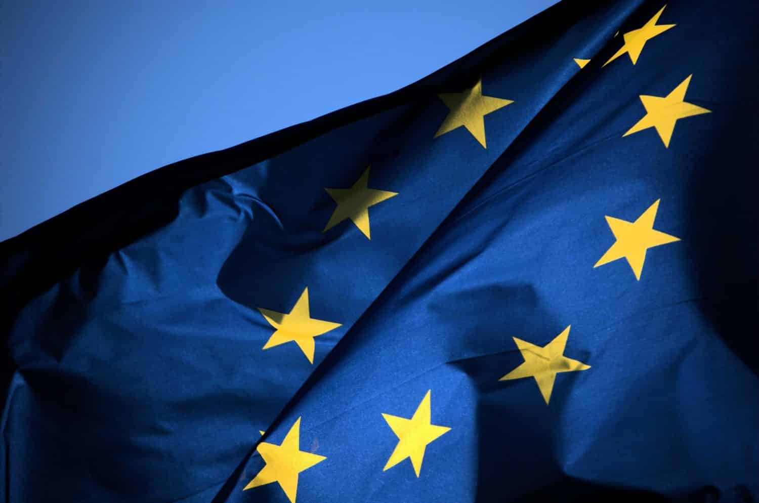 World Youth Organization EU Referendum Membership Statement